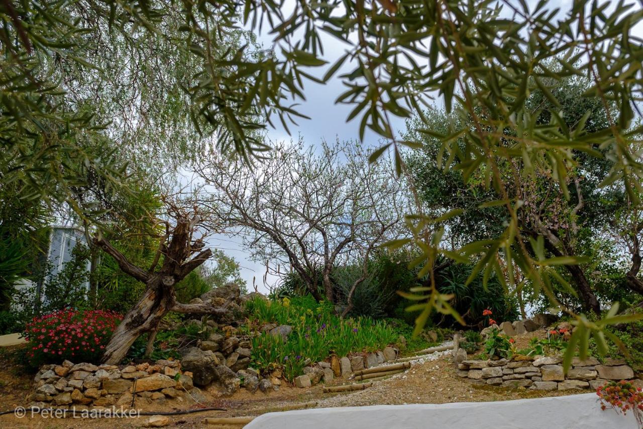 Finca Gordo Ríogordo Exteriér fotografie